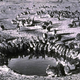 Conejos bebiendo en una charca de Australia en 1938. Foto: Rewilding Australia